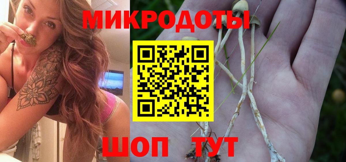 Белебей  Галлюциногенные грибы GOLDEN TEACHER  Вход с VPN  Псилоцибиновые грибы MAGIC MUSHROOMS 